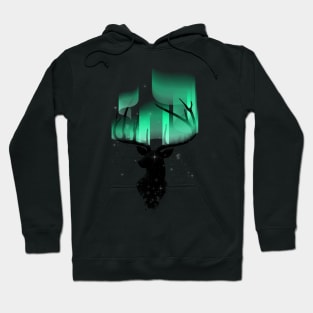 Northern Lights Hoodie